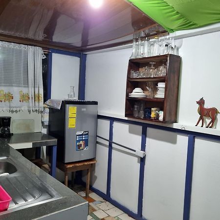 Wildlife Art Tortuguero Exterior photo