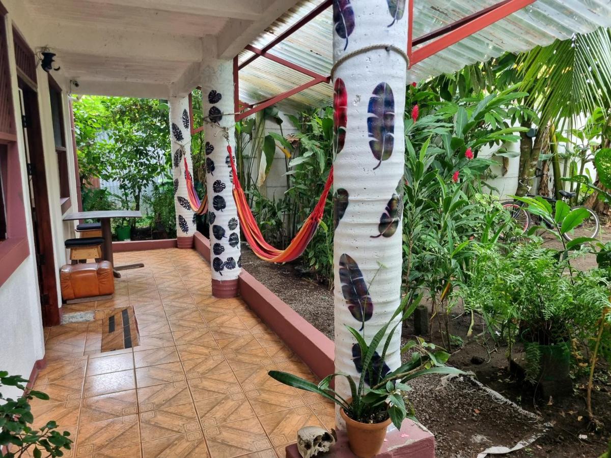 Wildlife Art Tortuguero Exterior photo