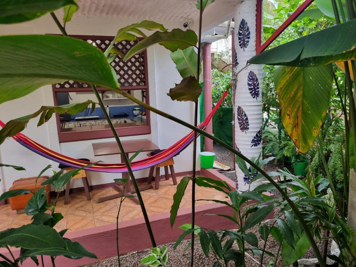Wildlife Art Tortuguero Exterior photo