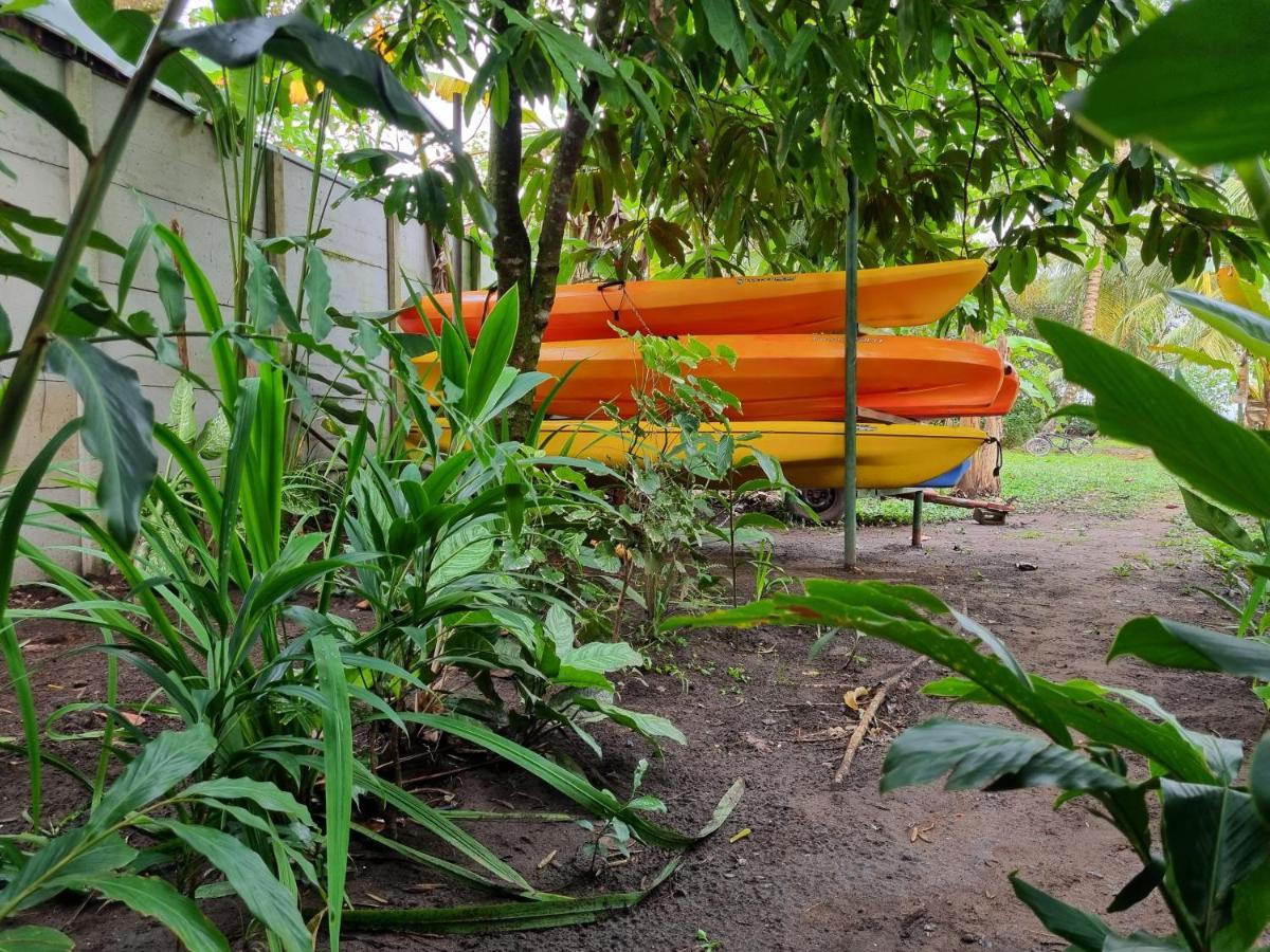 Wildlife Art Tortuguero Exterior photo