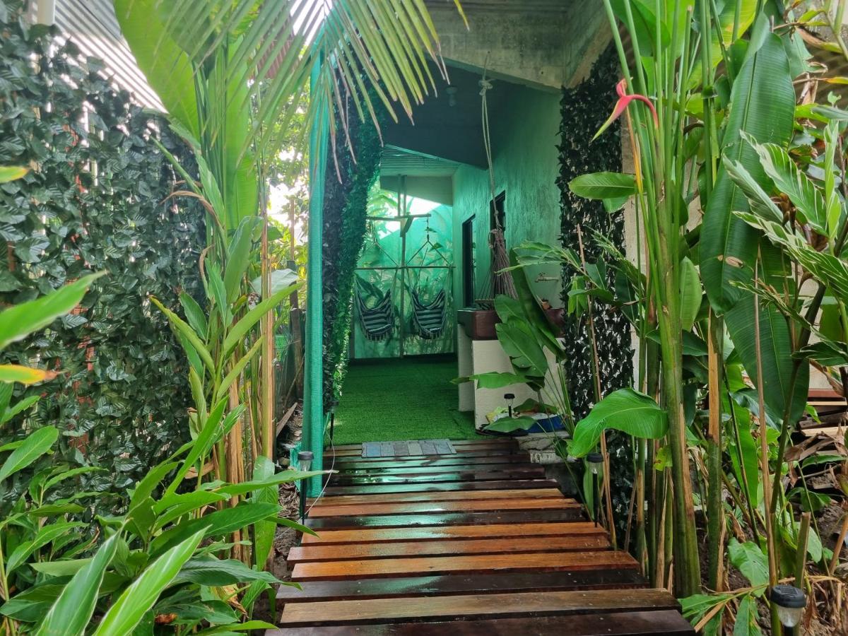Wildlife Art Tortuguero Exterior photo