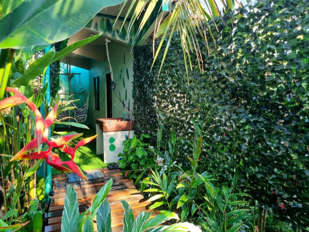 Wildlife Art Tortuguero Exterior photo