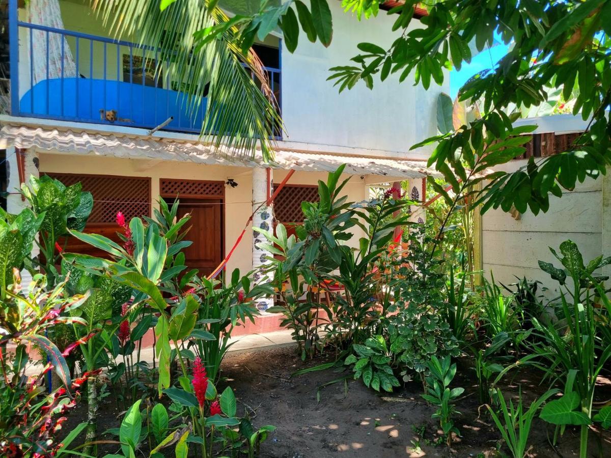 Wildlife Art Tortuguero Exterior photo