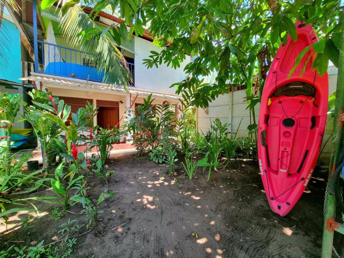 Wildlife Art Tortuguero Exterior photo