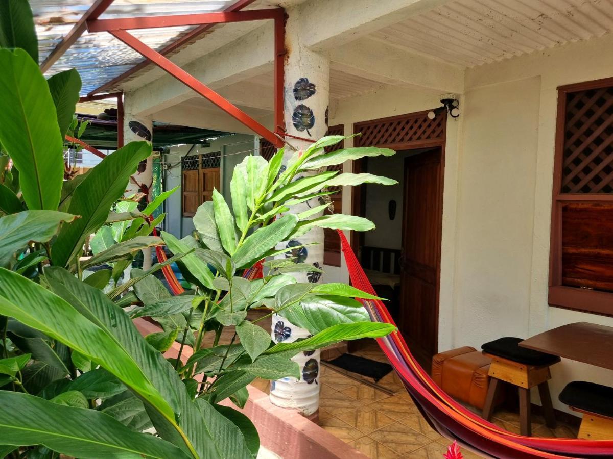 Wildlife Art Tortuguero Exterior photo