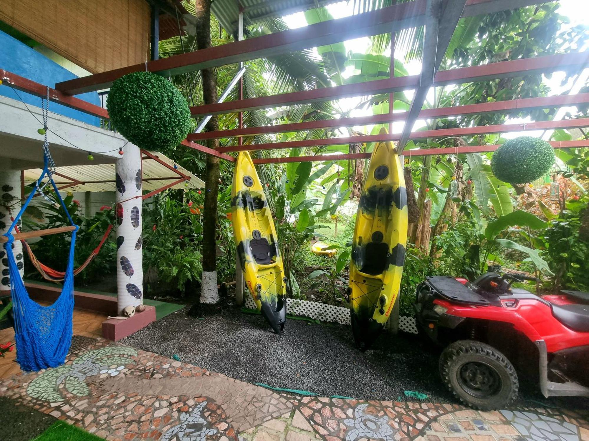 Wildlife Art Tortuguero Exterior photo