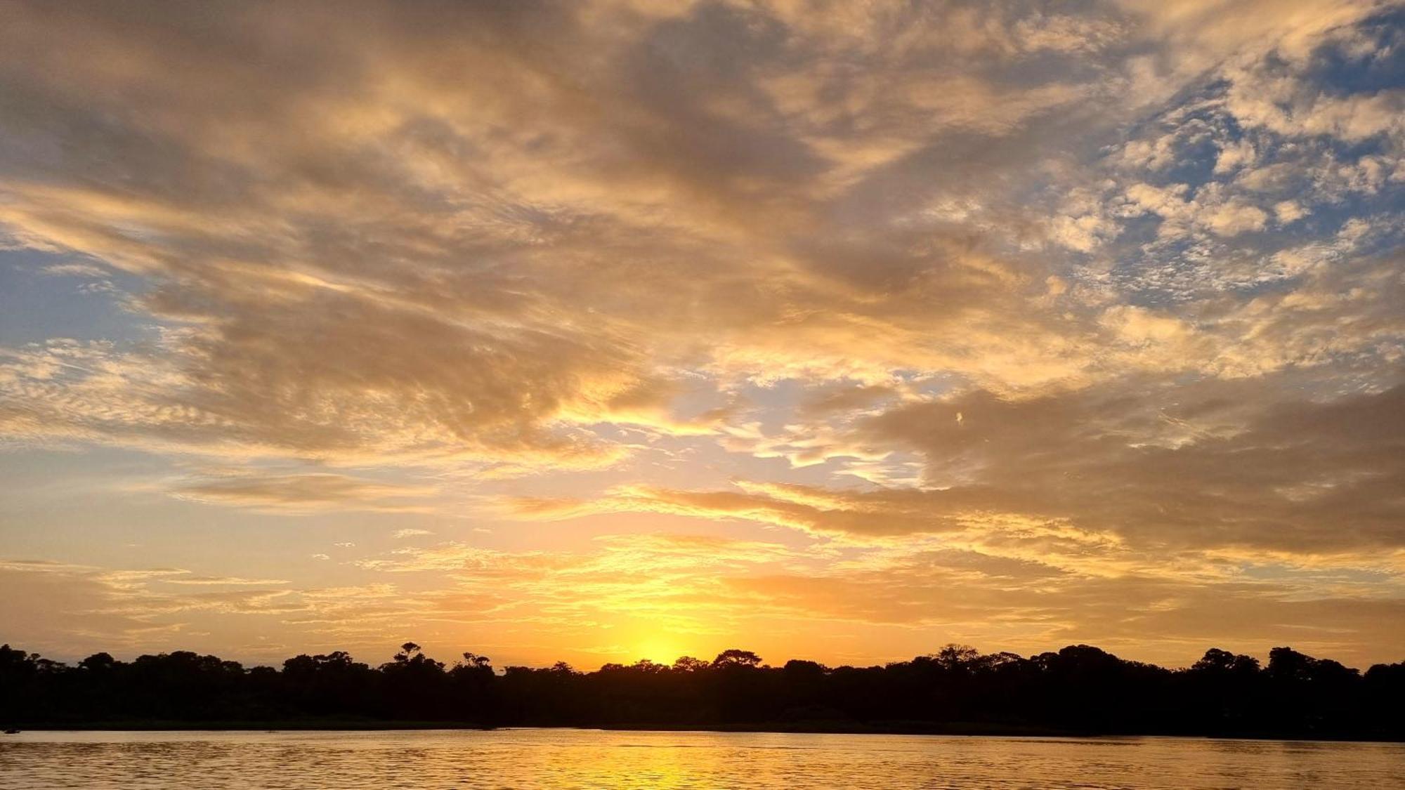Wildlife Art Tortuguero Exterior photo