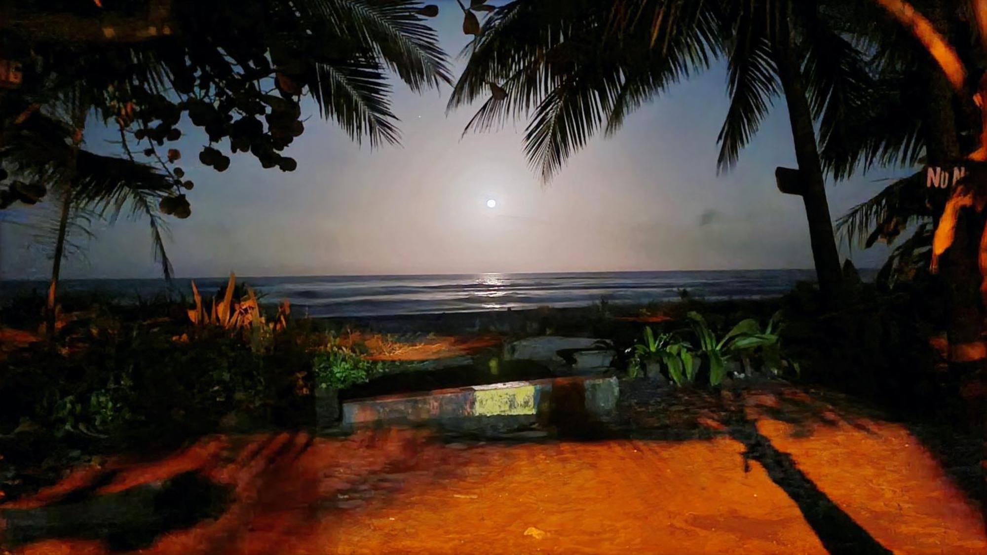 Wildlife Art Tortuguero Exterior photo