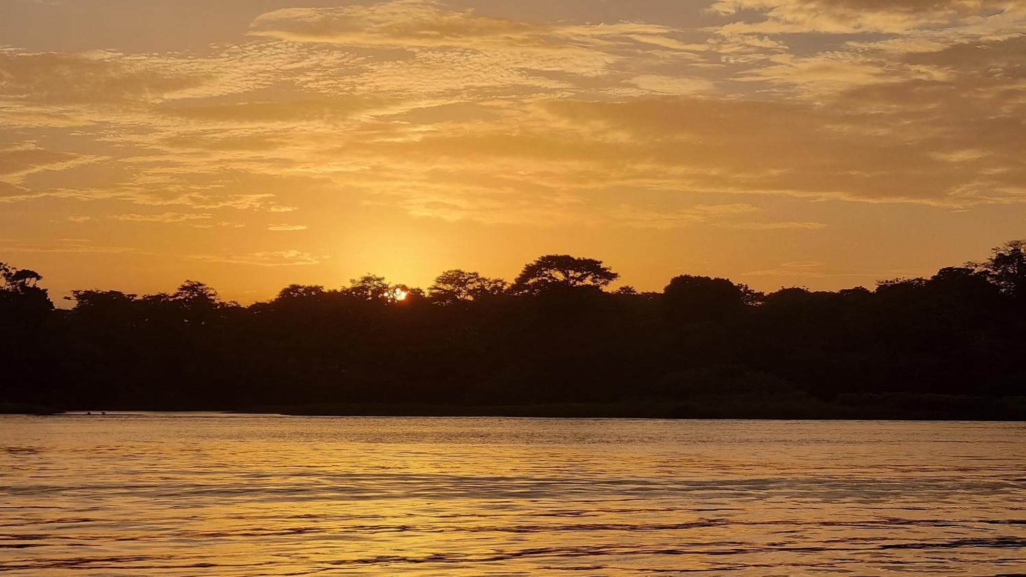 Wildlife Art Tortuguero Exterior photo