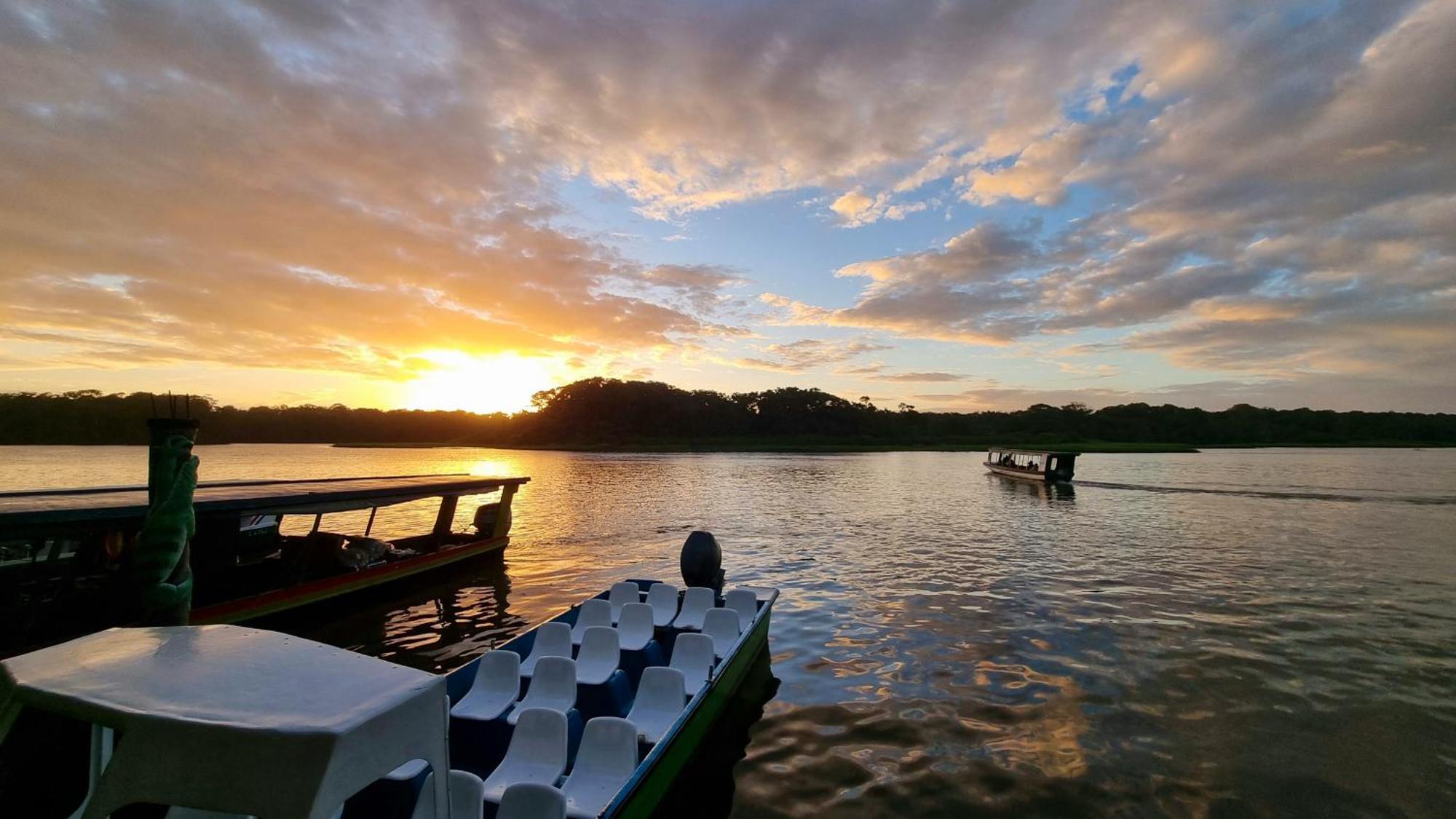 Wildlife Art Tortuguero Exterior photo