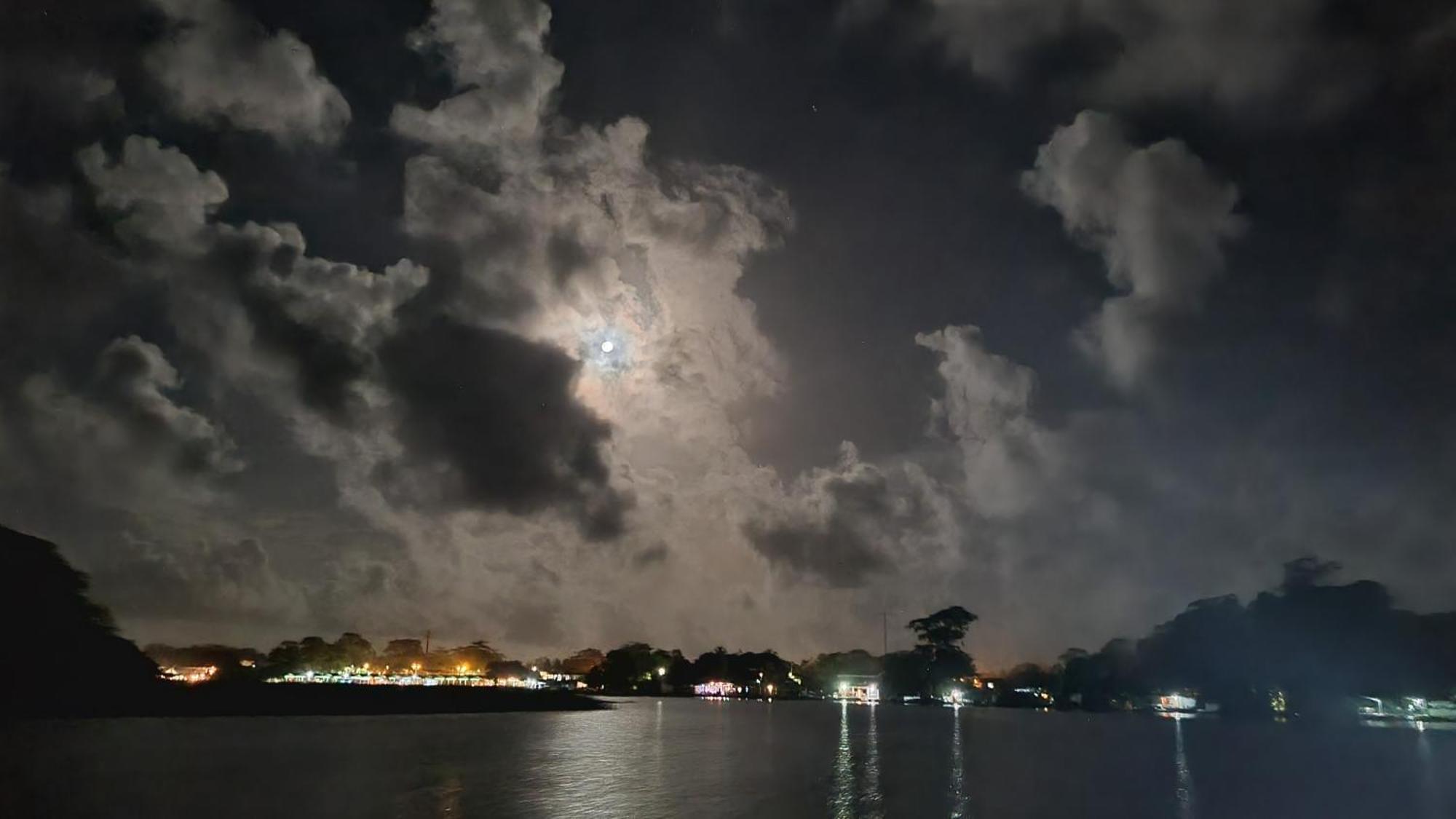 Wildlife Art Tortuguero Exterior photo