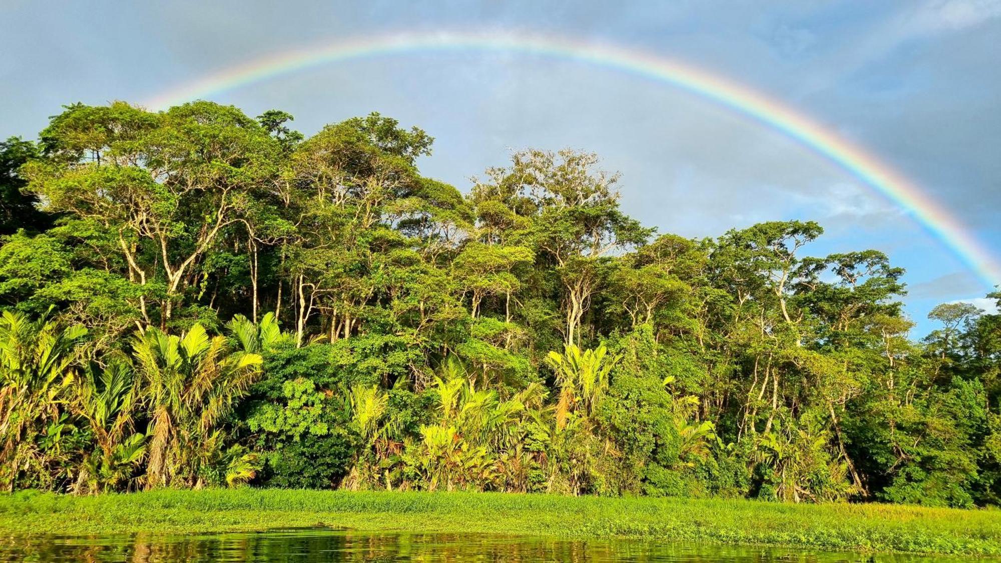 Wildlife Art Tortuguero Exterior photo